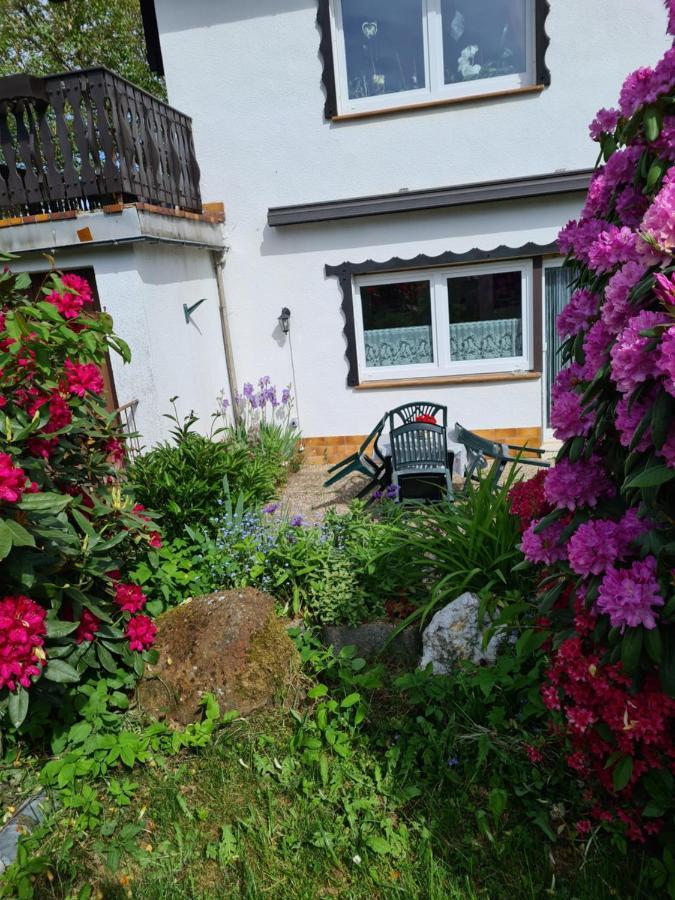 Grebenhain Ferienwohnung Eva מראה חיצוני תמונה